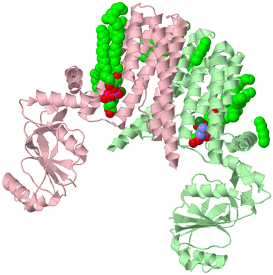 Image Biological Unit 2