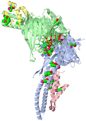 Image Asym./Biol. Unit - sites