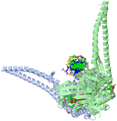 Image Asym./Biol. Unit - sites