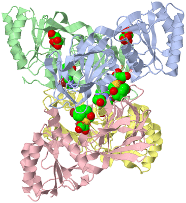 Image Asym./Biol. Unit