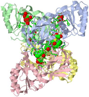 Image Asym./Biol. Unit - sites