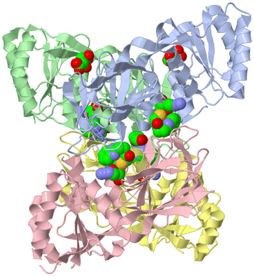 Image Asym./Biol. Unit