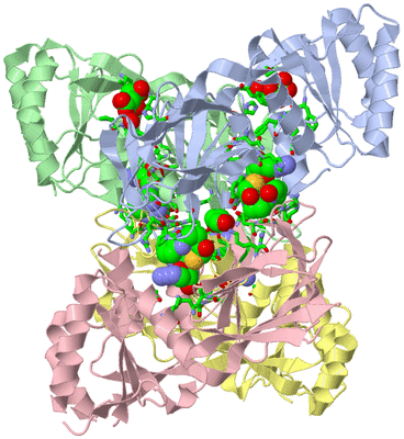 Image Asym./Biol. Unit - sites