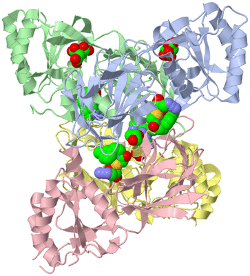 Image Asym./Biol. Unit