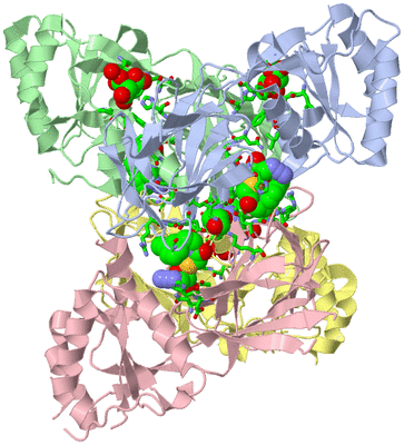 Image Asym./Biol. Unit - sites