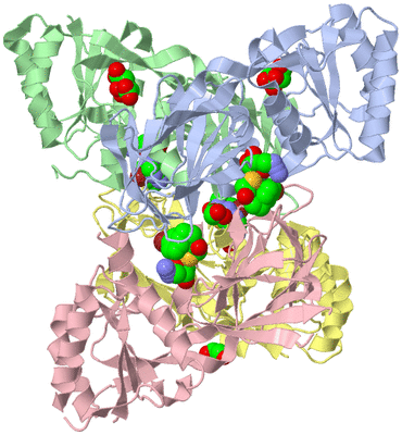 Image Asym./Biol. Unit