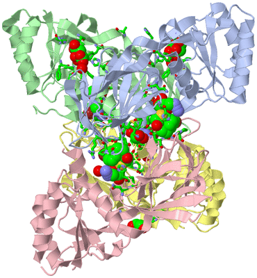 Image Asym./Biol. Unit - sites