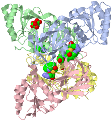 Image Asym./Biol. Unit