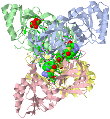 Image Asym./Biol. Unit - sites