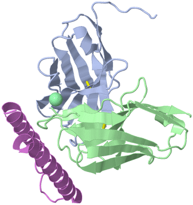 Image Biological Unit 1