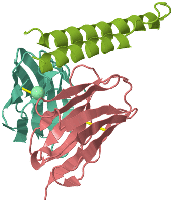 Image Biological Unit 2