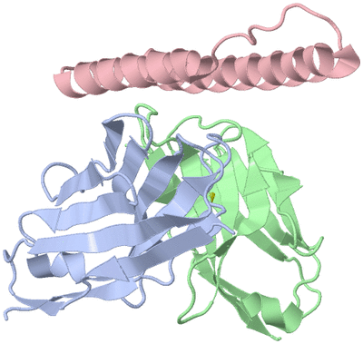 Image Biological Unit 1