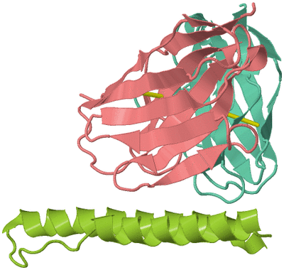 Image Biological Unit 2