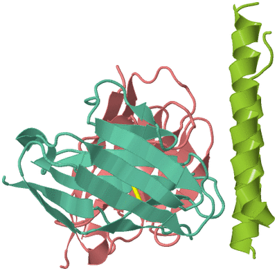 Image Asym./Biol. Unit