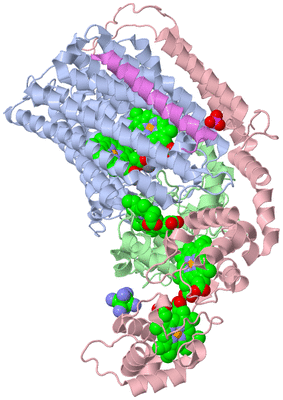 Image Biological Unit 1