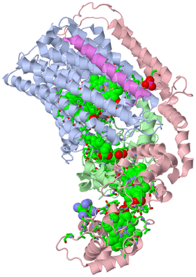 Image Biol. Unit 1 - sites