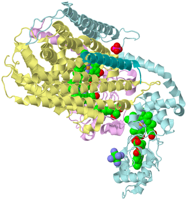 Image Biological Unit 2