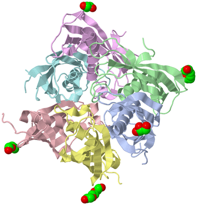 Image Asym./Biol. Unit