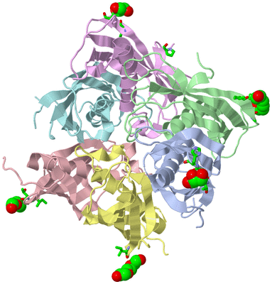 Image Asym./Biol. Unit - sites