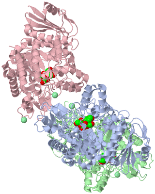 Image Asym./Biol. Unit