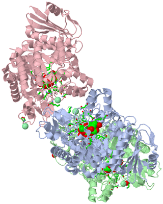 Image Asym./Biol. Unit - sites