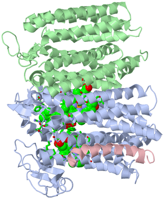 Image Asym./Biol. Unit - sites