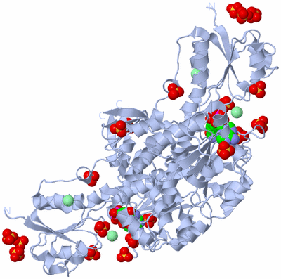 Image Biological Unit 1