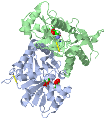 Image Asym./Biol. Unit