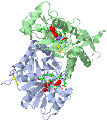 Image Asym./Biol. Unit - sites