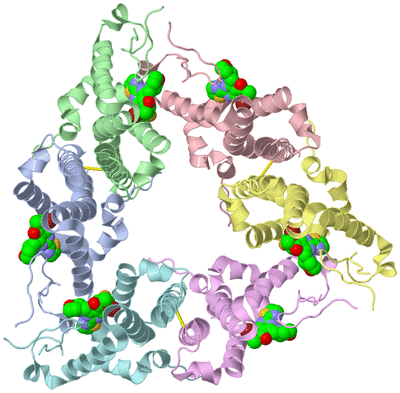 Image Biological Unit 1