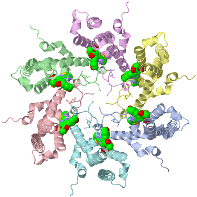 Image Biological Unit 2