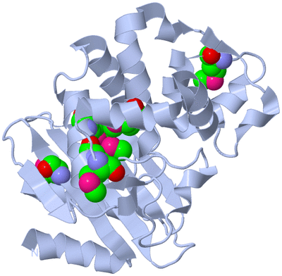 Image Biological Unit 1