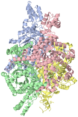 Image Asym./Biol. Unit