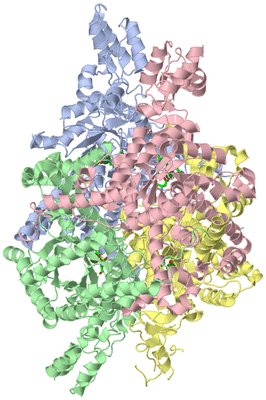 Image Asym./Biol. Unit - sites