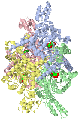 Image Asym./Biol. Unit