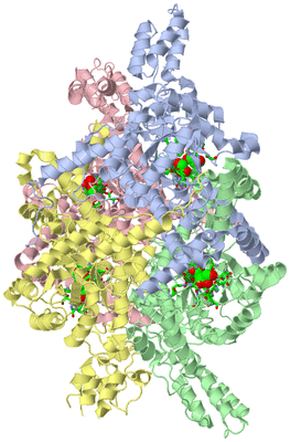 Image Asym./Biol. Unit - sites