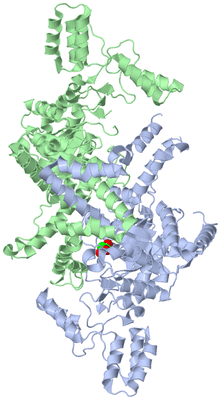 Image Asym./Biol. Unit