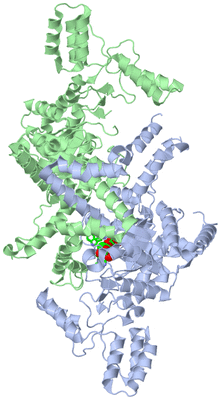 Image Asym./Biol. Unit - sites