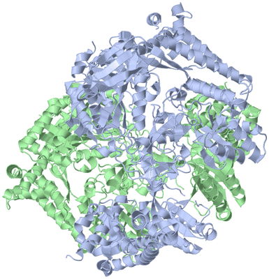 Image Asym./Biol. Unit