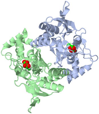 Image Asym./Biol. Unit