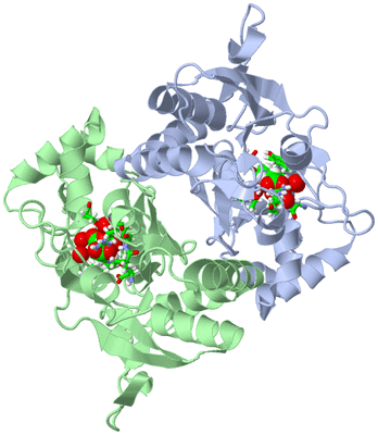 Image Asym./Biol. Unit - sites