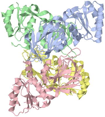 Image Asym./Biol. Unit