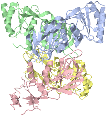 Image Asym./Biol. Unit