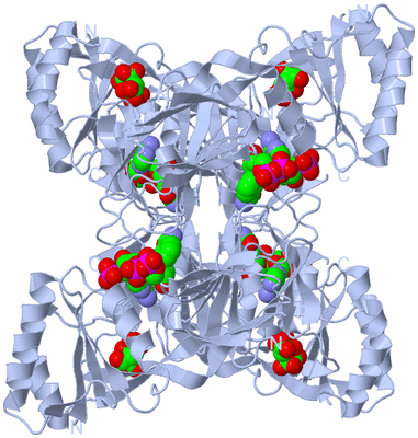 Image Biological Unit 1