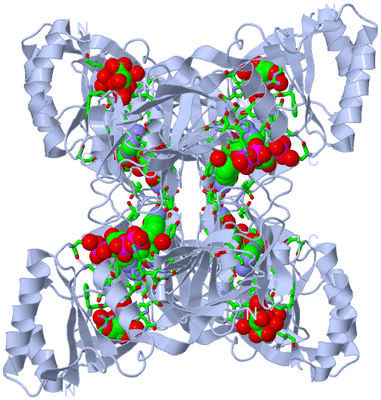 Image Biol. Unit 1 - sites