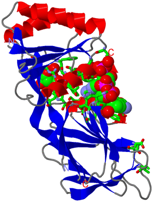 Image Asym. Unit - sites