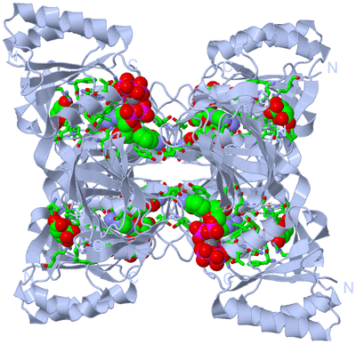 Image Biol. Unit 1 - sites