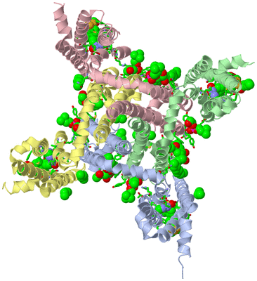 Image Asym./Biol. Unit - sites