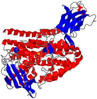 Image Asym./Biol. Unit