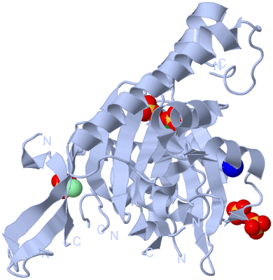 Image Biological Unit 1